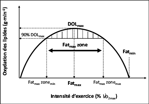 Lipozone