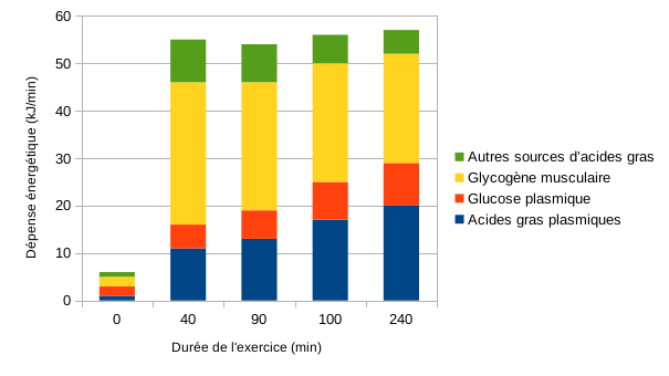 Oxydation graisses selon durée exercice